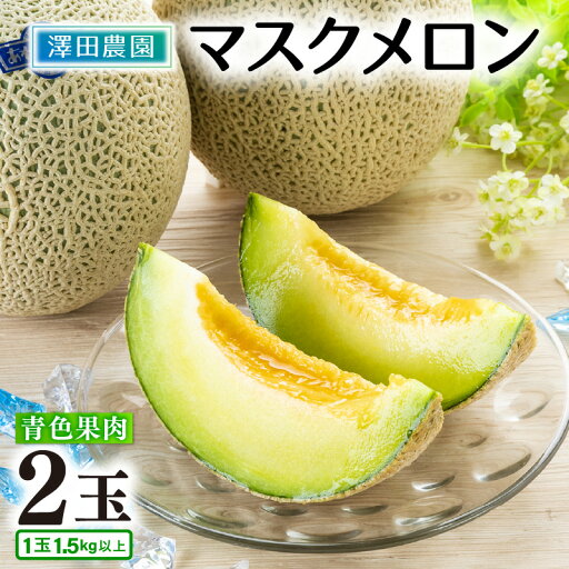 【ふるさと納税】【先行予約】青肉マスクメロン(1.5kg以上 2玉入)味も見た目も抜群!アールスメロン / 期間限定 数量限定 果物 フルーツ 産地直送 ※2025年7月上旬より順次発送 【ふるさと納税】【先行予約】青肉マスクメロン(1.5kg以上 2玉入)味も見た目も抜群!アールスメロン / 期間限定 数量限定 果物 フルーツ 産地直送 ※2025年7月上旬より順次発送