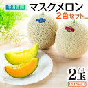 【ふるさと納税】【先行予約】マスクメロン 青肉/赤肉 2色セット(1.5kg以上 2玉入)食べ比べお楽しみ!アールスメロン / 期間限定 数量限定 果物 フルーツ 産地直送 ※2026年7月上旬より順次発送