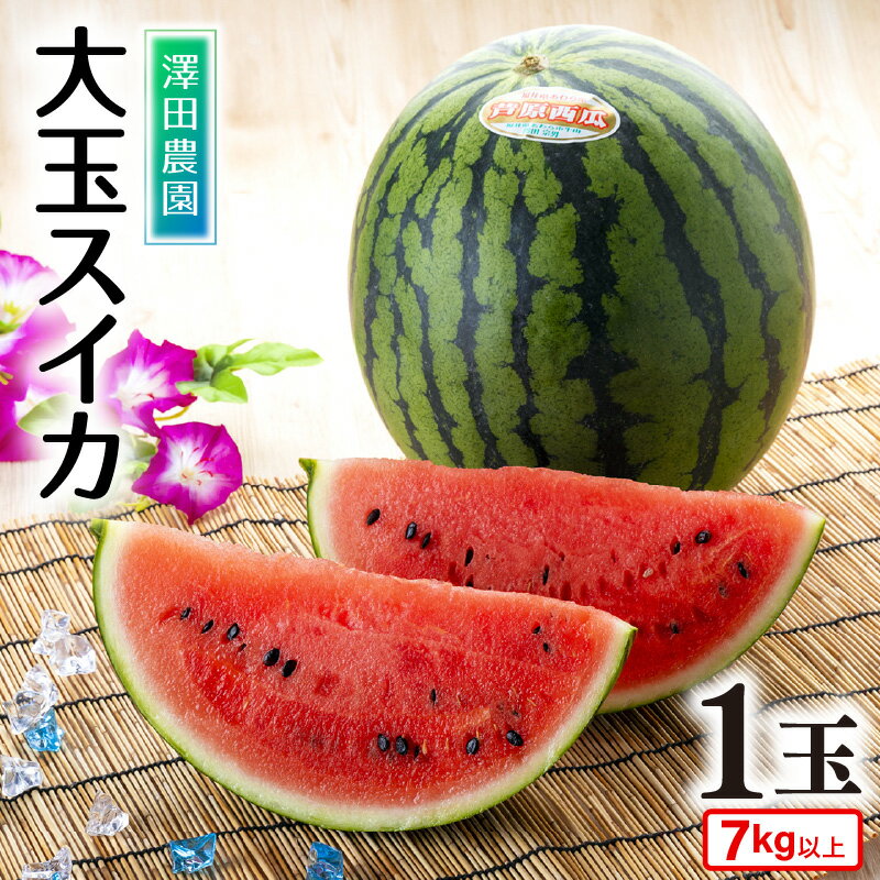 【ふるさと納税】 【先行予約】大玉スイカ(7kg以上 1玉入) 皮際まで甘い!シャリ感も抜群! / 期間限定 数量限定 果物 フルーツ 西瓜 すいか 産地直送 ※2025年6月中旬より順次発送