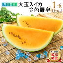 【ふるさと納税】【先行予約】大玉スイカ『金色羅皇』(7kg以上 1玉入) スイカ史上 最高糖度!/ 期間限定 数量限定 果物 フルーツ 西瓜 すいか 産地直送 高糖度 ※2026年6月中旬より順次発送