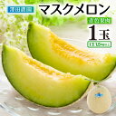 【ふるさと納税】【先行予約】青肉マスクメロン(1.5kg以上 1玉入)味も見た目も抜群!アールスメロン / 期間限定 数量限定 果物 フルーツ 産地直送 ※2026年7月上旬より順次発送