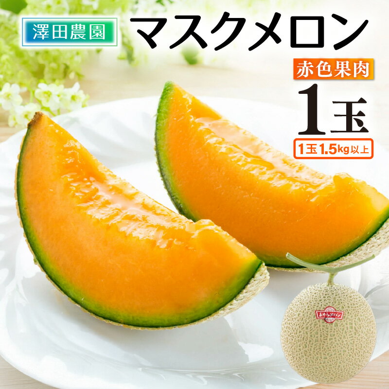 【ふるさと納税】【先行予約】赤肉マスクメロン(1.5kg以上 1玉入)味も見た目も抜群!アールスメロン / 期間限定 数量限定 果物 フルーツ 産地直送 ※2025年7月上旬より順次発送