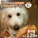 【ふるさと納税】【訳あり】【定期便6回】【国産 鶏肉】20本×6回 ワンちゃんのチキンジャーキー/ ペットフード ドッグフード 犬 おやつ ご飯 愛犬 ペット ...