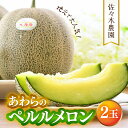 【ふるさと納税】【先行予約】ペルルメロン 3L 2玉入(1.7kg以上×2玉)糖度16度以上!/ 1株1果 大玉 青肉 メロン 果物 フルーツ ギフト 農家直送...