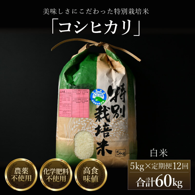【ふるさと納税】【先行予約】【令和7年産 新米】《定期便12回》コシヒカリ 精米 5kg （計60kg）特別栽培米 農薬不使用 化学肥料不使用 ／ 残留農薬ゼロ 高品質 鮮度抜群 福井県産 ブランド米 白米 ※2025年10月上旬より順次発送予定のサムネイル