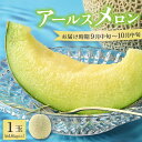 【ふるさと納税】【先行予約】秋 アールスメロン 1玉(約1.6kg以上)青肉品種 高級メロン! / マスクメロン 大玉 果物 フルーツ ギフト 農家直送 ※20...