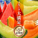 【ふるさと納税】【先行予約】《定期便全5回》フルーツ大満足定期便 / すいか マスクメロン 高級メロン 大玉 果物 フルーツ 夏 ギフト 農家直送 ※2025年...