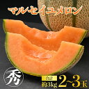 【ふるさと納税】【先行予約】 佐藤農園のマルセイユメロン 約3kg前後《秀品》(2~3玉入)深みのある甘さ とろける濃厚な赤肉!農家直送 有機肥料 低農薬 糖度 ※2026年6月上旬より順次発送予定