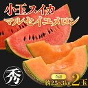 【ふるさと納税】【先行予約】小玉スイカ マルセイユメロン セット 計2玉入(約2.5kg~3kg)秀品 / 期間限定 数量限定 果物 フルーツ 夏 人気 西瓜 産地直送 有機肥料 低農薬 ※2026年6月上旬より順次発送