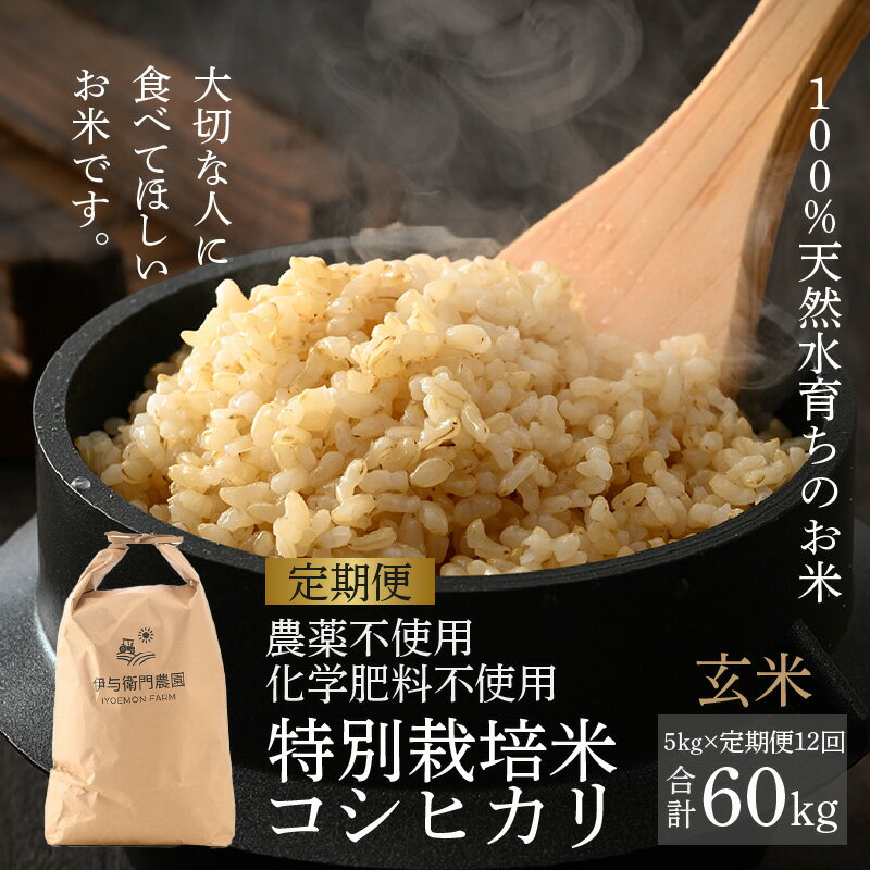 【ふるさと納税】【令和7年産 新米】《定期便12回》コシヒカリ 玄米 5kg（計60kg） 特別栽培米 化学肥料不使用 / 伊与衛門農園の特別栽培米 高品質 鮮度抜群 福井県 あわら市産 ブランド米 R7 北陸のサムネイル