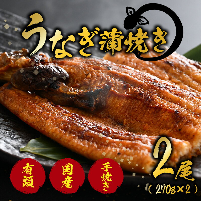 【ふるさと納税】国産 活うなぎ蒲焼 有頭 約270gを2尾(計540g)2~4人前《ご寄付後、発送直前に1つ1つ手焼き!》/ 高級 特大 鰻 ウナギ 蒲焼き 老舗魚屋 タレ レンジ 温めるだけ 簡単 土用の丑 うな重 うな丼 自家製タレ付き