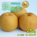 【ふるさと納税】【先行予約】上野梨園の新興梨 8~12玉入 約5kg 4L~6L【秀品】《数量限定》梨園直送! / 期間限定 果物 フルーツ 農家直送 シャキシャキ もぎたて 旬 お取り寄せ ※2025年10月上旬より順次発送
