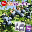 【ふるさと納税】【先行予約】【訳あり】【冷凍】あわらフルーツランドのブルーベリー たっぷり 1kg 便利な500g×2袋 【完熟】 / フルーツ 果物 くだもの...
