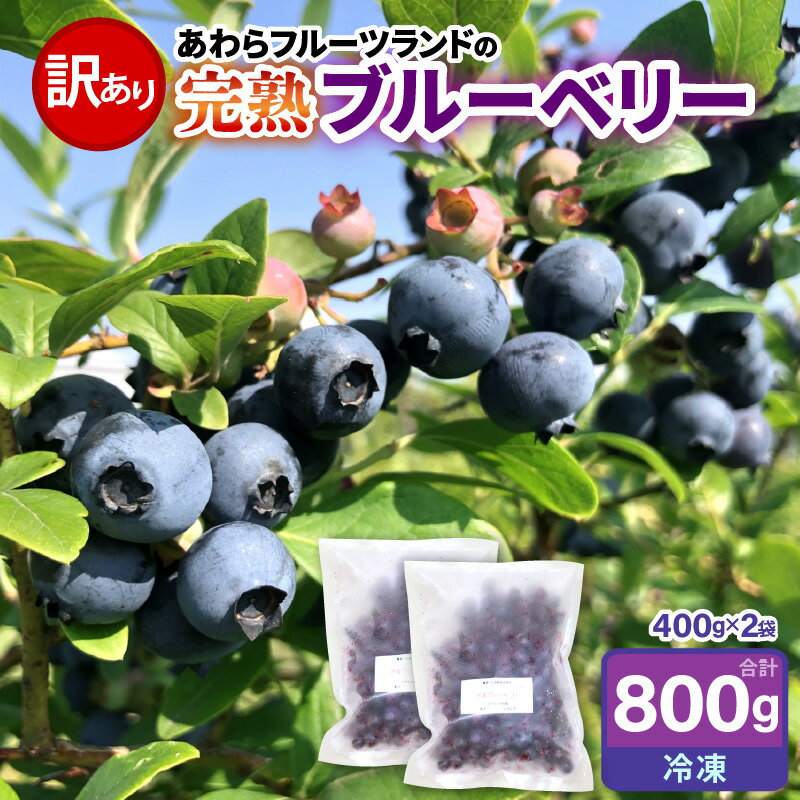 [先行予約][訳あり][冷凍]あわらフルーツランドのブルーベリー たっぷり 800g 便利な400g×2袋 [完熟] / フルーツ 果物 くだもの 冷凍 小分け 完熟 ご当地 国産 おすすめ ※2026年8月上旬より順次発送