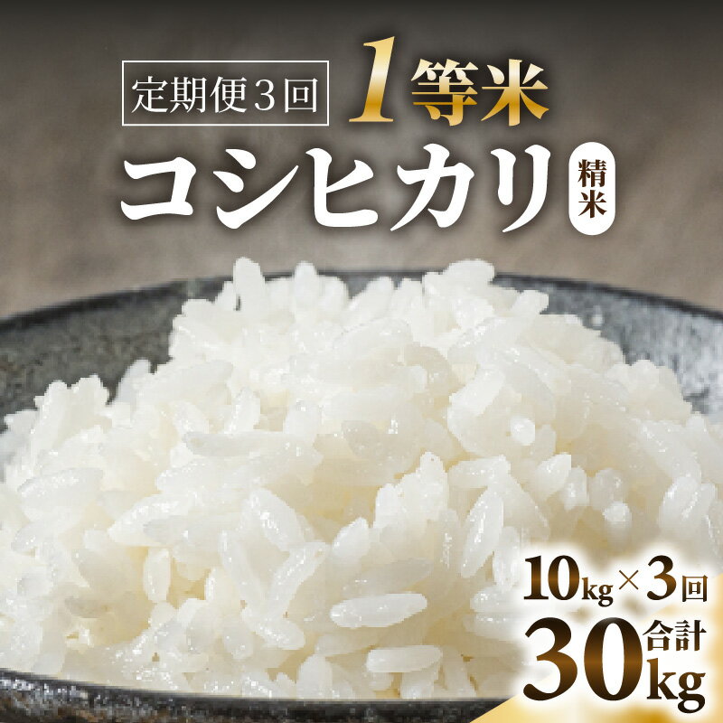 [令和7年産]定期便≪3ヶ月連続お届け≫ [一等米]コシヒカリ 精米 10kg × 3回(合計30kg) / 米 定期便 一等米 福井県産 ブランド米 ご飯 白米 お米 コメ 新鮮 新米