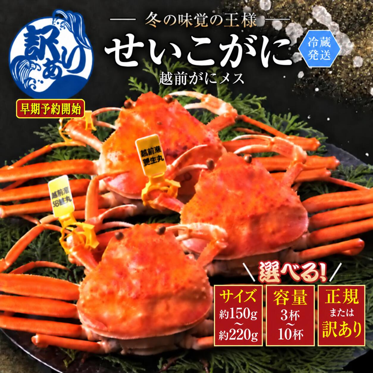 ＼早期予約受付開始/越前ガニ 冷蔵 越前がに(メス)「せいこがに」 150g前後〜210g前後 3杯〜10杯 正規 訳あり選択 / 送料 無料 福井県 越前市 武生 かに カニ 蟹 越前かに 越前ガニ 越前カニ ズワイガニ 雌 年内配送 着日指定(18209)