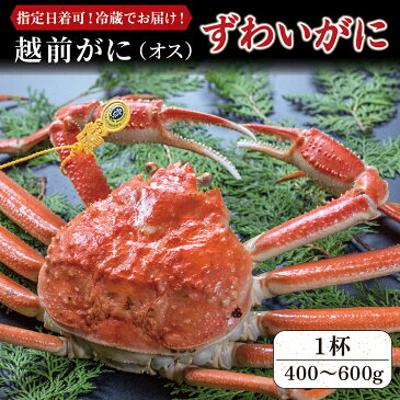 【ふるさと納税】越前がに (オス) ずわいがに 400～600g 1杯 / 送料 無料 福井県 越前市 武生 かに カニ 蟹 越前かに 越前ガニ 越前カニ ズワイガニ 雄 (18209)