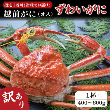 【ふるさと納税】訳あり 越前がに (オス) ずわいがに 400～600g 1杯 / 送料 無料 福井県 越前市 武生 かに カニ 蟹 越前かに 越前ガニ 越前カニ ズワイガニ 雄 不揃い 傷 足折れ (18209)