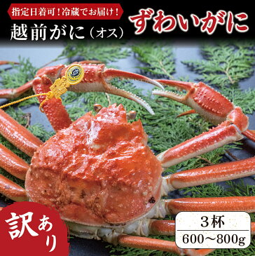 【ふるさと納税】訳あり 越前がに (オス) ずわいがに 600～800g 3杯 / 送料 無料 福井県 越前市 武生 かに カニ 蟹 越前かに 越前ガニ 越前カニ ズワイガニ 雄 不揃い 傷 足折れ (18209)