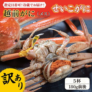 【越前ガニ】福井県でとれたブランド蟹！美味しい越前ガニのおすすめは？