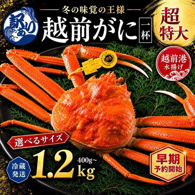 【ふるさと納税】＼早期予約受付開始／がに (オス) ずわいがに 400g〜1.2kg以上 1杯 正規 訳あり 選択 / 送料 無料 福井県 越前市 武生 かに カニ 蟹 越前かに 越前ガニ 越前カニ ズワイガニ 雄 不揃い 傷 足折れ 発送時期が選べる