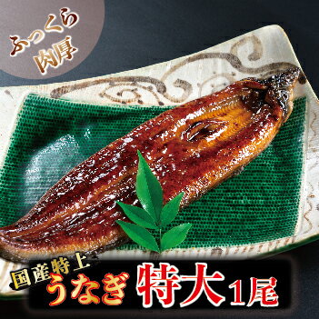 国産特上うなぎのかば焼き 約250g×1尾 送料無料 福井県越前市 蒲焼き 鰻 ウナギ 父の日 土用の丑の日 (18209)