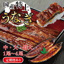 【ふるさと納税】国産 特上 うなぎ の かば焼き 約160g~250g (中サイズ~特大サイズ)1~4尾 数量選択可能 定期便 送料無料 福井県越前市 蒲焼き 鰻 ウナギ 土用の丑の日(18209)