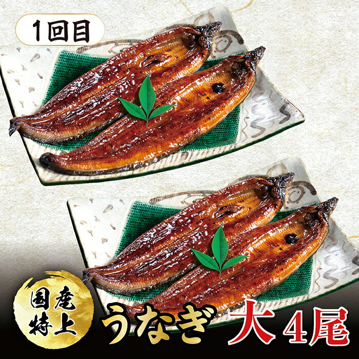 【ふるさと納税】【定期便3回】たっぷり4人前！人気海鮮 定期便3回コース（毎月お届け）/ 送料無料 福井県 越前市 国産特上うなぎのかば焼き ねぎとろ 生本まぐろ 鮪 マグロ まぐろ 赤身 中トロ とろ 定期便 コース 海鮮(18209）