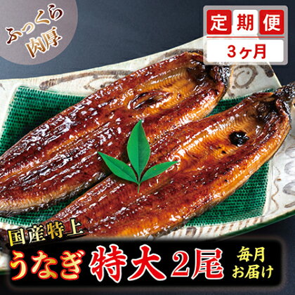 【定期便3回】国産特上うなぎのかば焼き 約250g×2尾　3回コース （毎月お届け） 3ヶ月 / 送料 無料 福井県 越前市 武生 定期便 蒲焼き 鰻 ウナギ　(18209)