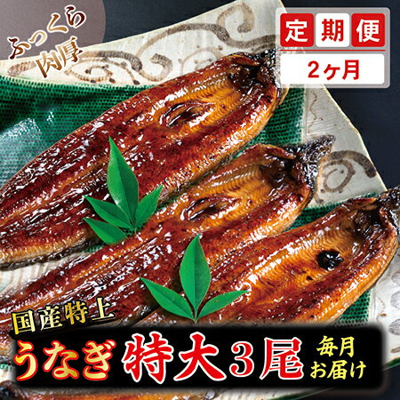 【ふるさと納税】【定期便2回】国産特上うなぎのかば焼き 約250g×3尾　2回コース （毎月お届け） 2ヶ月 / 送料 無料 福井県 越前市 武生 定期便 蒲焼き 鰻 ウナギ (18209)