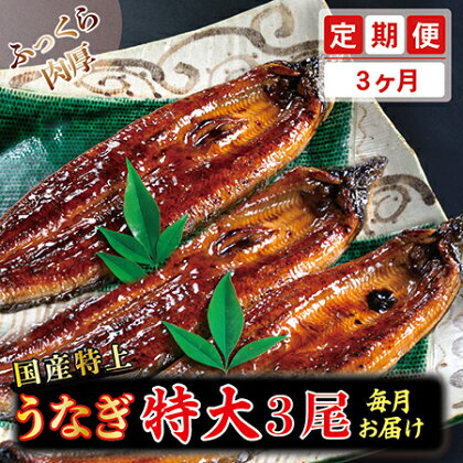 【定期便3回】国産特上うなぎのかば焼き 約250g×3尾　3回コース （毎月お届け） 3ヶ月 / 送料 無料 福井県 越前市 武生 定期便 蒲焼き 鰻 ウナギ　(18209)