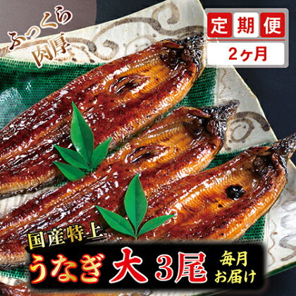 【定期便2回】国産特上うなぎのかば焼き 約200g×3尾　2回コース （毎月お届け） 2ヶ月 / 送料 無料 福井県 越前市 武生 定期便 蒲焼き 鰻 ウナギ　(18209)