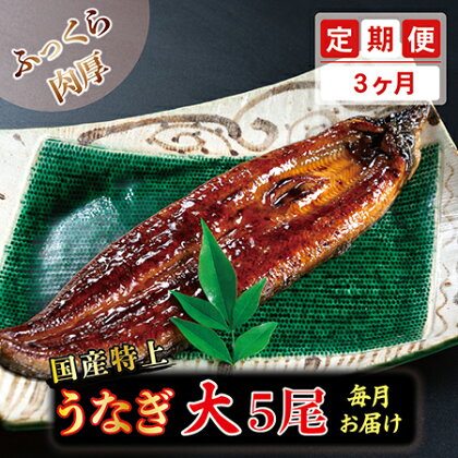 【定期便3回】国産特上うなぎのかば焼き 約200g×5尾　3回コース （毎月お届け） 3ヶ月 / 送料 無料 福井県 越前市 武生 定期便 蒲焼き 鰻 ウナギ　(18209)