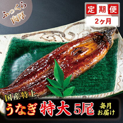 【定期便2回】国産特上うなぎのかば焼き 約250g×5尾　2回コース （毎月お届け） 2ヶ月 / 送料 無料 福井県 越前市 武生 定期便 蒲焼き 鰻 ウナギ　(18209)