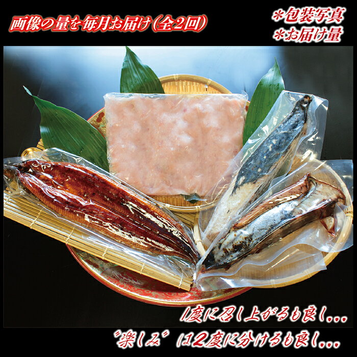 【ふるさと納税】毎月お届け定期便！ねぎとろ 鰹タタキ うなぎ蒲焼き セット！（2人前×2回）【アレンジ可・おすすめ】 ／送料無料 福井県 越前市 鰹 カツオ タタキ たたき うなぎ 蒲焼き 鰻 ウナギ 晩酌 おかず （18209）
