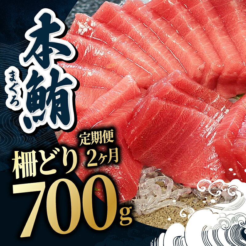 【ふるさと納税】【定期便2回】大満足！生本まぐろ中トロ 700g（柵どり） × 2回お届け （毎月お届け） 2ヶ月 / 送料 無料 福井県 越前市 武生 鮪 マグロ 未冷凍 生まぐろ 生マグロ 本鮪 中とろ コース 新鮮 お刺身 お造り おろし ブロック 魚 切り身 海鮮丼 漬け丼 (18209) f182095-echizen-10000313 福井県越前市 サンプル画像2