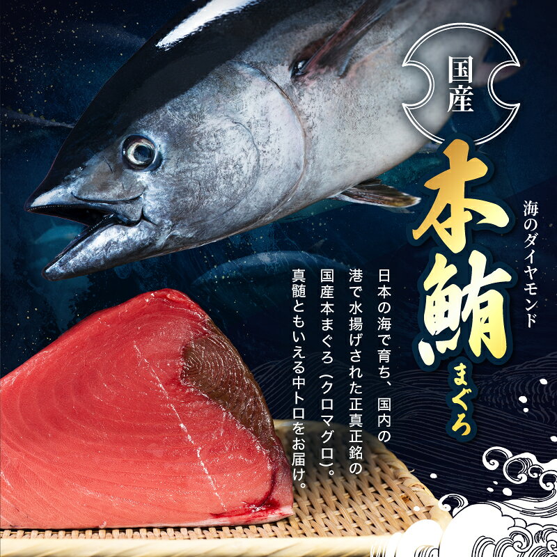 【ふるさと納税】【定期便2回】大満足！生本まぐろ中トロ 700g（柵どり） × 2回お届け （毎月お届け） 2ヶ月 / 送料 無料 福井県 越前市 武生 鮪 マグロ 未冷凍 生まぐろ 生マグロ 本鮪 中とろ コース 新鮮 お刺身 お造り おろし ブロック 魚 切り身 海鮮丼 漬け丼 (18209) f182095-echizen-10000313 福井県越前市 サンプル画像3
