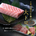 【ふるさと納税】【定期便2回】大満足！生本まぐろ大トロ 800g（柵どり） × 2回お届け （毎月お届け） 2ヶ月 / 送料 無料 福井県 越前市 武生 鮪 マグロ 未冷凍 生まぐろ 生マグロ 本鮪 大とろ コース 新鮮 お刺身 お造り おろし ブロック 魚 切り身 海鮮丼 漬け丼 (18209) 2