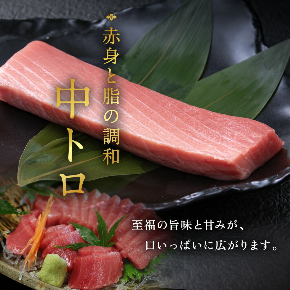 【ふるさと納税】【冷蔵・指定日着可】国産 生本マグロ 中トロ 250g(柵どり) / 送料 無料 福井県 越前市 鮪 未冷凍 生まぐろ 生マグロ 本鮪 中とろ 新鮮 お刺身 おさしみ お造り 切り身 切身 海鮮 海鮮丼 まぐろ丼 漬け 発送時期が選べる(18209)