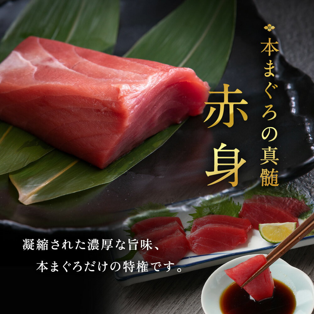 【ふるさと納税】【冷蔵・指定日着可】国産 生本マグロ 赤身 250g（柵どり/ 送料 無料 福井県 越前市 鮪 未冷凍 生まぐろ 生マグロ 本鮪 新鮮 お刺身 おさしみ お造り 切り身 切身 海鮮 海鮮丼 まぐろ丼 発送時期が選べる (18209）