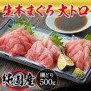 【ふるさと納税】【冷蔵・指定日着可】国産 生本マグロ 大トロ 500g（柵どり）/ 送料 無料 福井県 越前市 武生 鮪 未冷凍 生まぐろ 生マグロ 本鮪 大とろ 新鮮 お刺身 おさしみ お造り カット おろし ブロック 魚 切り身 海鮮 丼 海鮮丼 まぐろ丼 漬け丼 漬丼(18209)･･･