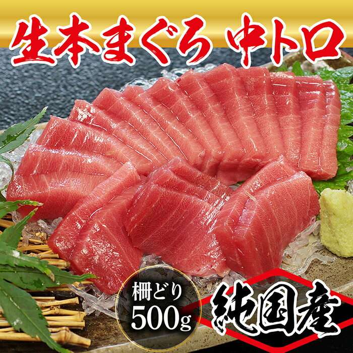【ふるさと納税】【冷蔵・指定日着可】国産生本マグロ中トロ500g(柵どり)訳あり:新型コロナ緊急支援品/送料無料福井県越前市武生鮪未冷凍生まぐろ生マグロ本鮪中とろ新鮮お刺身おさしみお造り魚切り身切身海鮮丼海鮮丼まぐろ丼漬け(18209)