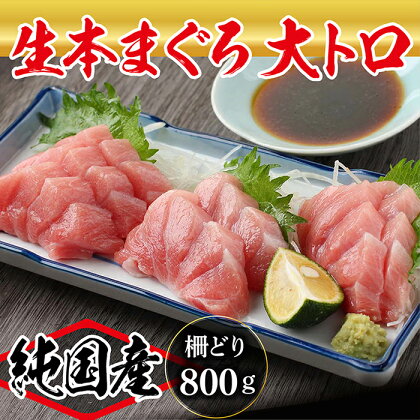 【冷蔵・指定日着可】国産 生本マグロ 大トロ 800g(柵どり) /送料無料 福井県越前市 鮪 新鮮 お刺身 おさしみ お造り おつくり おろし ブロック 魚 切り身 切身 海鮮 丼 海鮮丼 まぐろ丼 漬け 漬け丼 発送時期が選べる(18209)