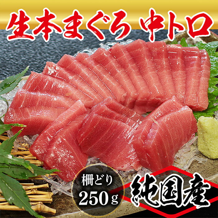 [冷蔵・指定日着可]国産 生本マグロ 中トロ 250g(柵どり) / 送料 無料 福井県 越前市 鮪 未冷凍 生まぐろ 生マグロ 本鮪 中とろ 新鮮 お刺身 おさしみ お造り 切り身 切身 海鮮 海鮮丼 まぐろ丼 漬け 発送時期が選べる(18209)