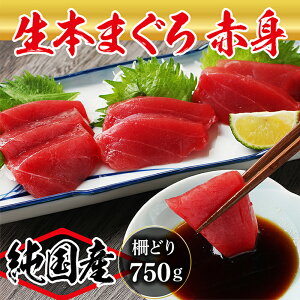 【ふるさと納税】【冷蔵・指定日着可】国産 生本マグロ 赤身 750g（柵どり）/ 送料 無料 福井県 越前市 鮪 冷蔵 未冷凍 生まぐろ 生マグロ 本鮪 新鮮 お刺身 おさしみ お造り 切り身 海鮮 丼 海鮮丼 まぐろ丼 漬け丼 発送時期が選べる(18209）