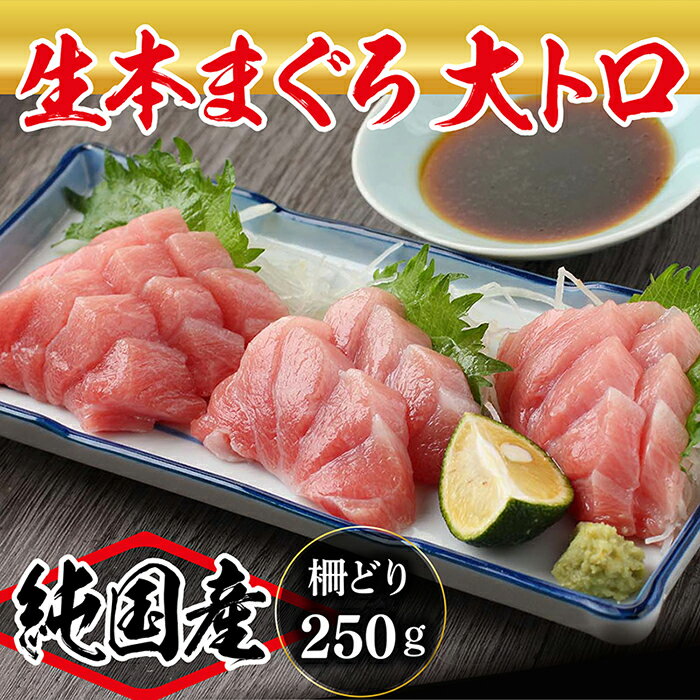 [冷蔵・指定日着可]国産 生本マグロ 大トロ250g(柵どり) /送料無料 福井県越前市 鮪 新鮮 お刺身 おさしみ お造り おつくり おろし ブロック 魚 切り身 切身 海鮮 丼 海鮮丼 まぐろ丼 漬け 漬け丼 発送時期が選べる(18209)