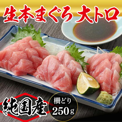 【冷蔵・指定日着可】国産 生本マグロ 大トロ250g(柵どり) /送料無料 福井県越前市 鮪 新鮮 お刺身 おさしみ お造り おつくり おろし ブロック 魚 切り身 切身 海鮮 丼 海鮮丼 まぐろ丼 漬け 漬け丼 発送時期が選べる(18209)