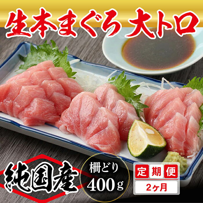 【ふるさと納税】【定期便2回】満足！生本まぐろ大トロ 400g（柵どり）× 2回お届け （毎月お届け） 2ヶ月 / 送料 無料 福井県 越前市 武生 鮪 マグロ 未冷凍 生まぐろ 生マグロ 本鮪 大とろ コース 新鮮 お刺身 お造り おろし ブロック 魚 切り身 海鮮丼 漬け丼 (18209)