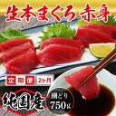 【ふるさと納税】【定期便2回】大満足！生本まぐろ赤身 750g（柵どり） × 2回お届け （毎月お届け） 2ヶ月 / 送料 無料 福井県 越前市 武生 鮪 マグロ 未冷凍 生まぐろ 生マグロ 本鮪 コース 新鮮 お刺身 お造り おろし ブロック 魚 切り身 海鮮丼 漬け丼 (18209)