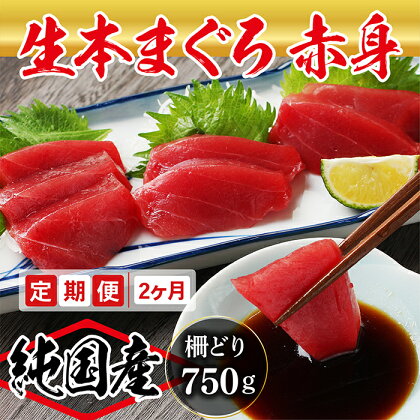 【定期便2回】大満足！生本まぐろ赤身 750g（柵どり） × 2回お届け （毎月お届け） 2ヶ月 / 送料 無料 福井県 越前市 武生 鮪 マグロ 未冷凍 生まぐろ 生マグロ 本鮪 コース 新鮮 お刺身 お造り おろし ブロック 魚 切り身 海鮮丼 漬け丼 (18209)